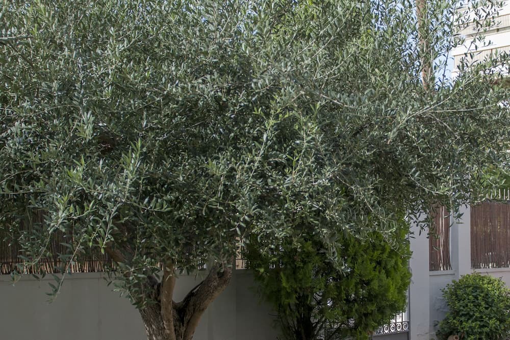 Photo of Outdoor in Lleida
