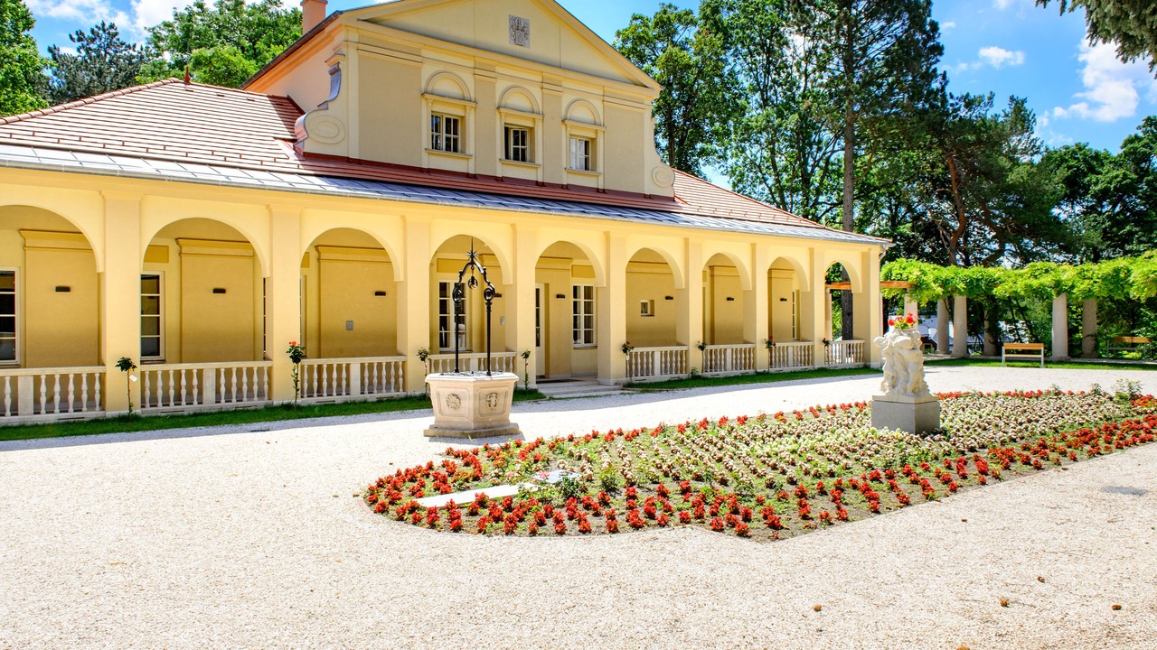 Photo of Outdoor in Pesthidegkut