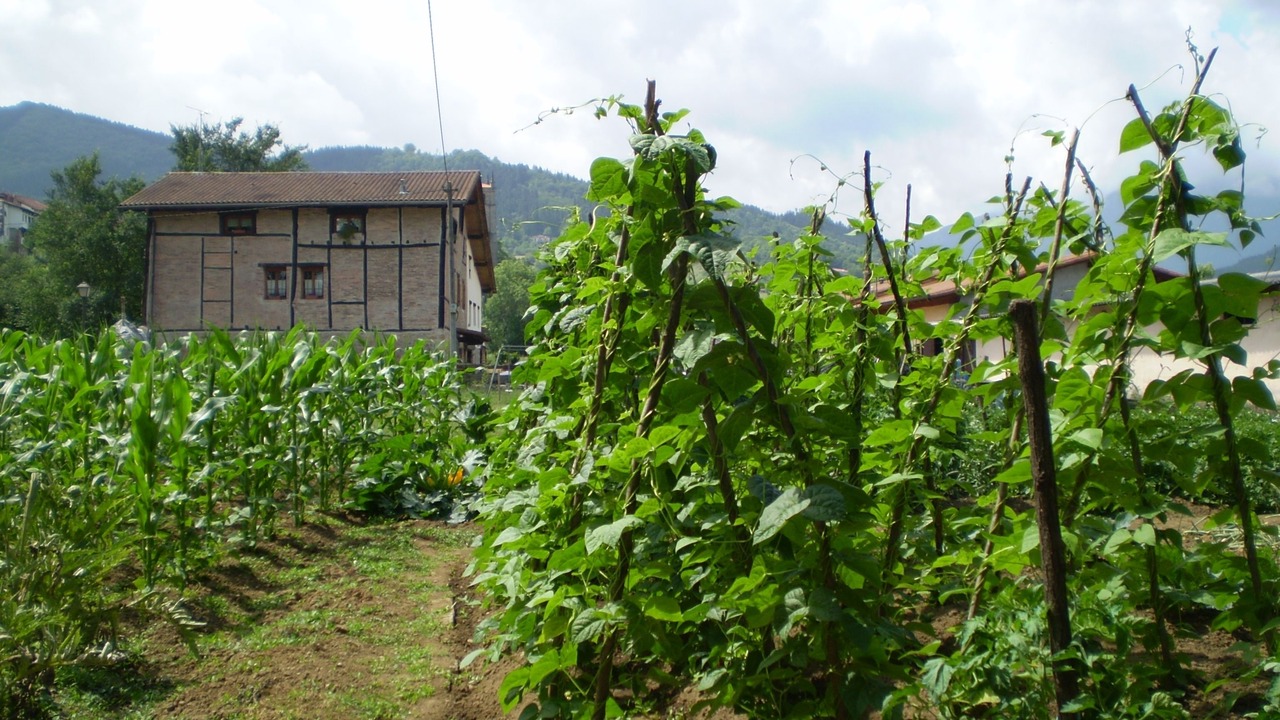 Photo of Others in Segura