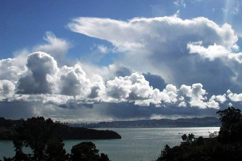 Photo of Others in Belvedere Tiburon