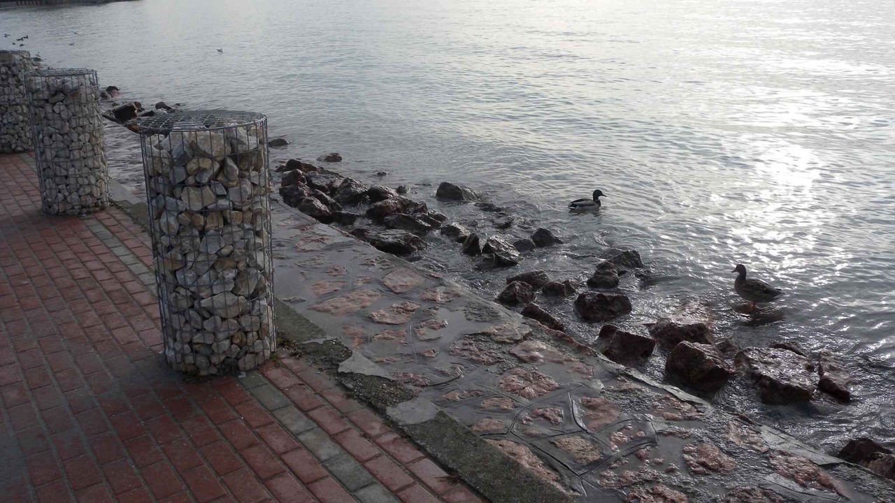 Photo of Outdoor in Balatonfokajar