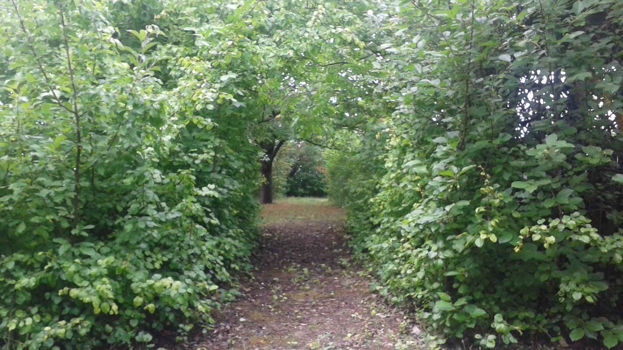Photo of Outdoor in Balatonfokajar