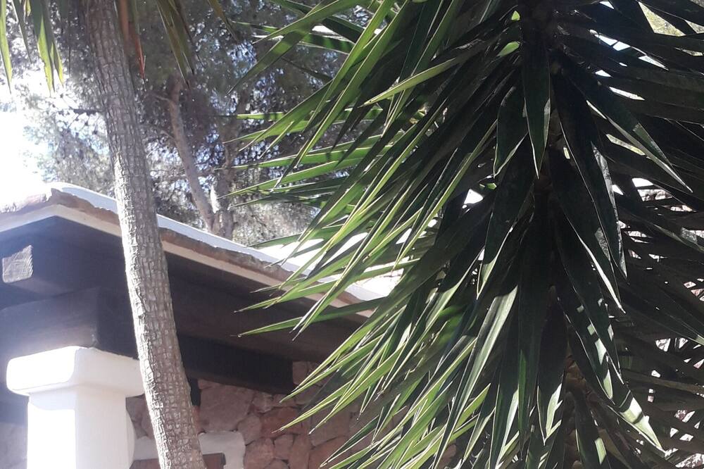 Photo of Outdoor in Santa Eulalia del Rio