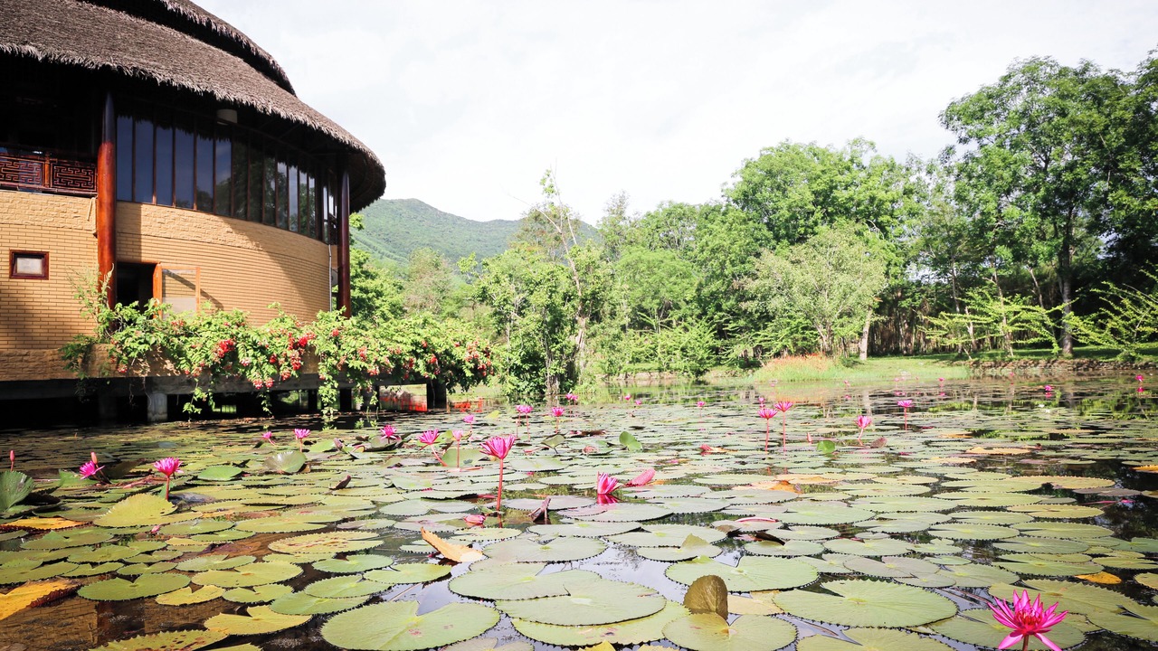 Photo of Outdoor in Phong Dien