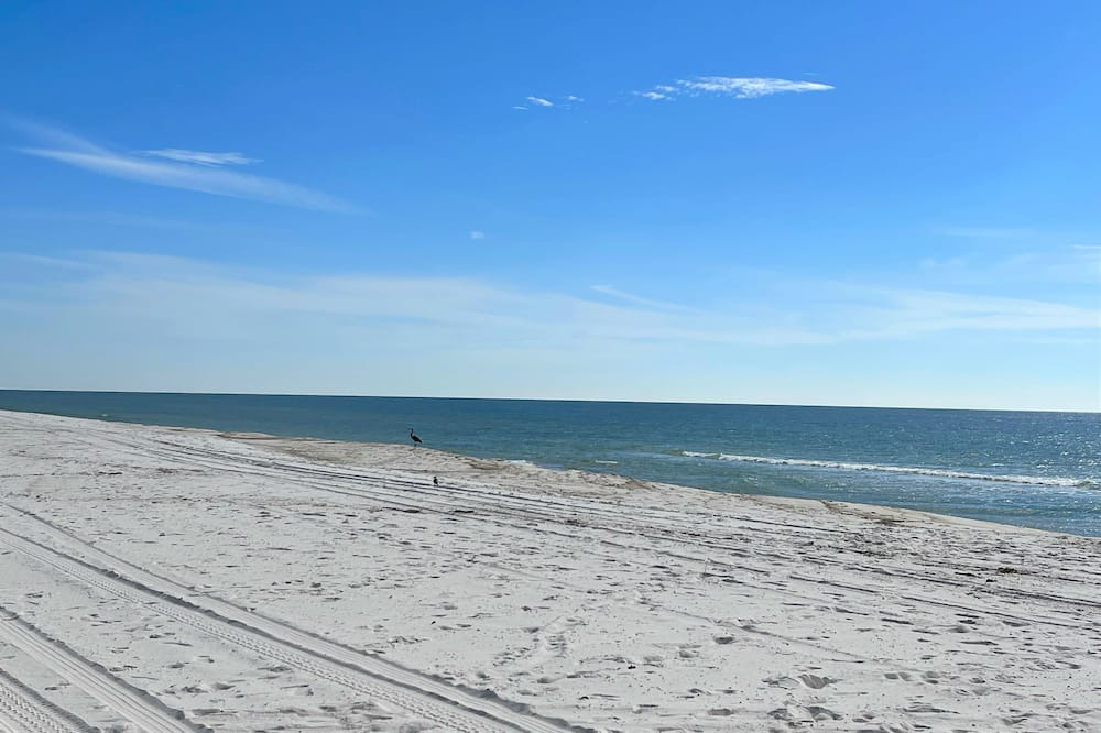 Photo of Others in Orange Beach East