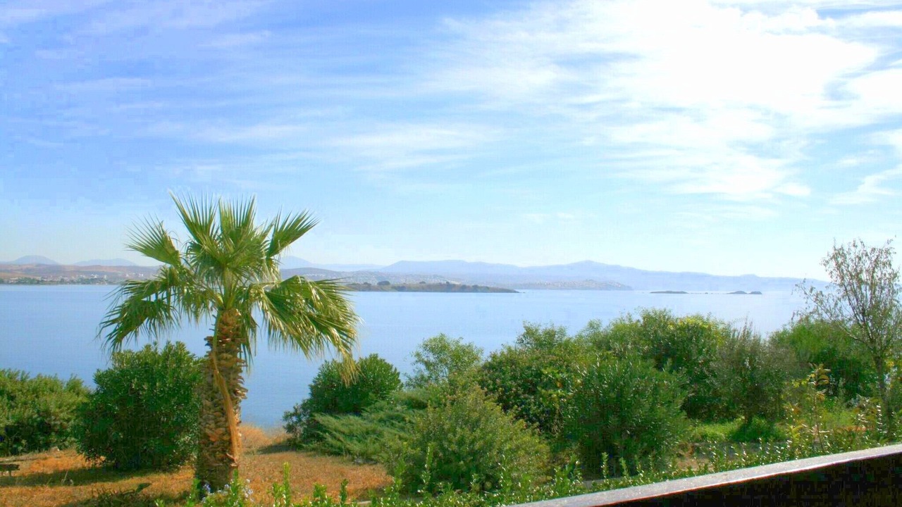 Photo of Others in Sigacık