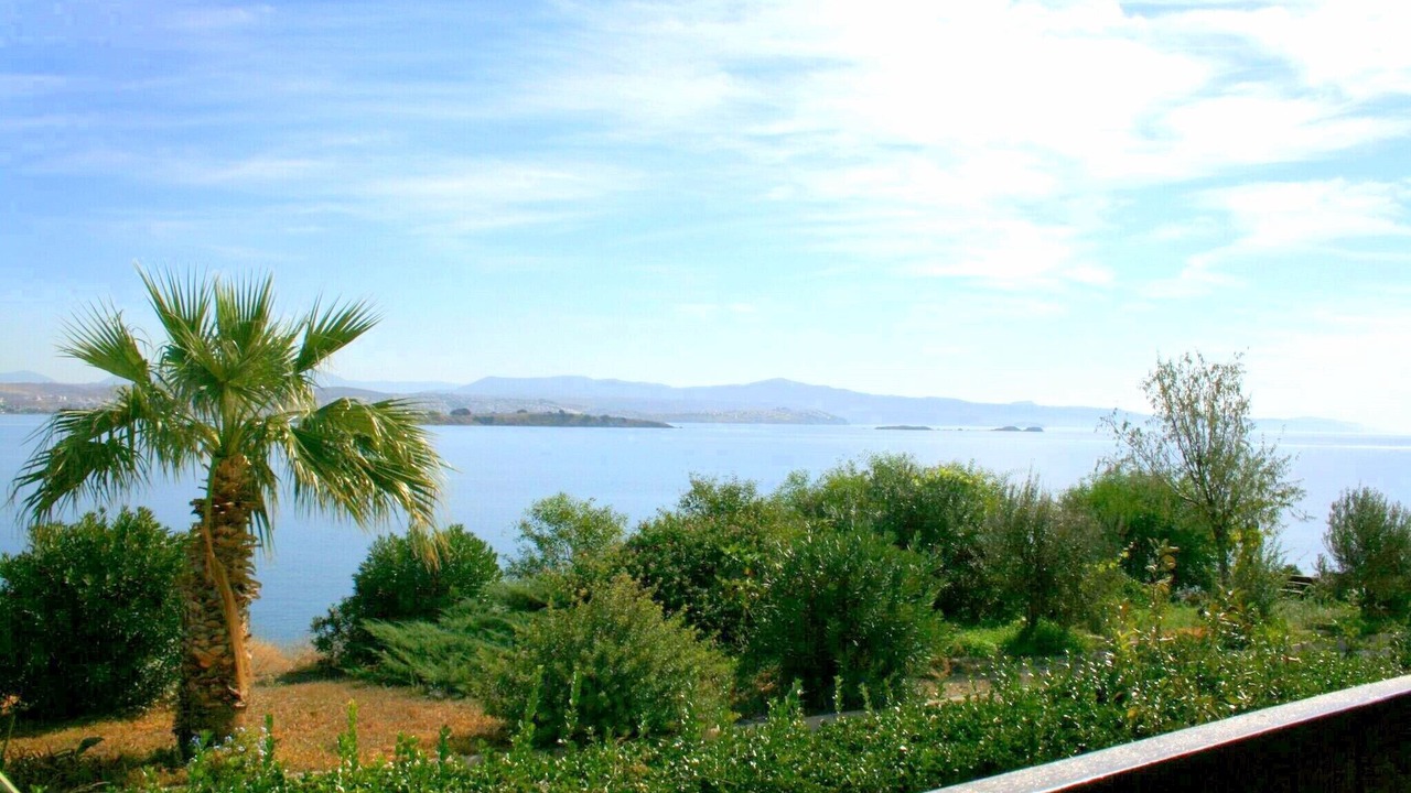 Photo of Others in Sigacık
