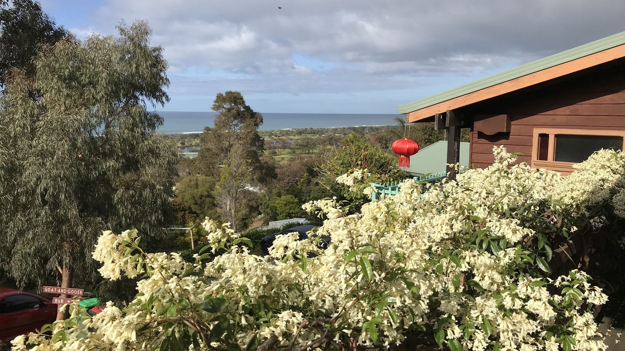 Photo of Others in Lakes Entrance