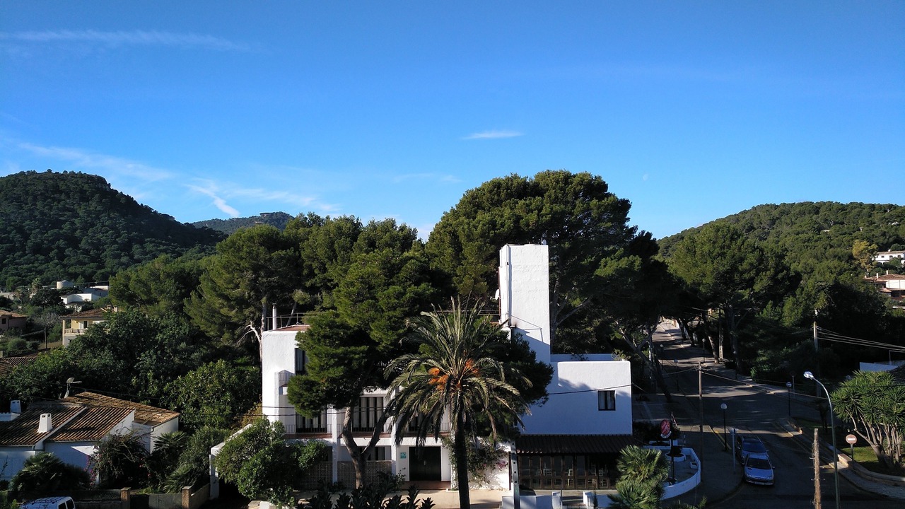 Photo of Outdoor in Son Moll