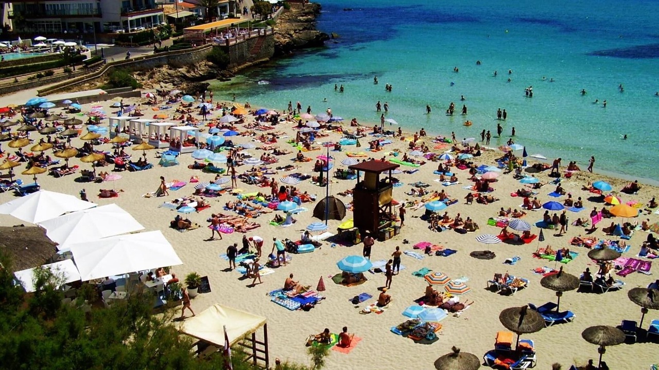 Photo of Others in Son Moll