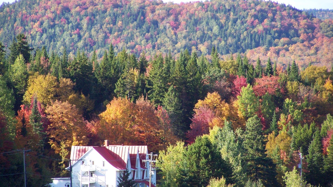 Photo of Outdoor in Lac-Etchemin