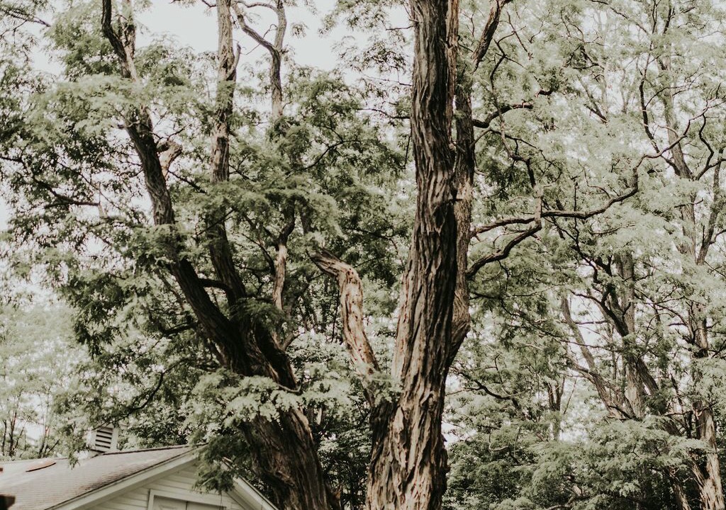 Photo of Outdoor in Skaneateles