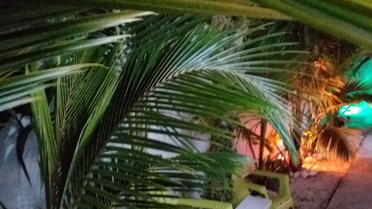 Photo of Outdoor in Gambier