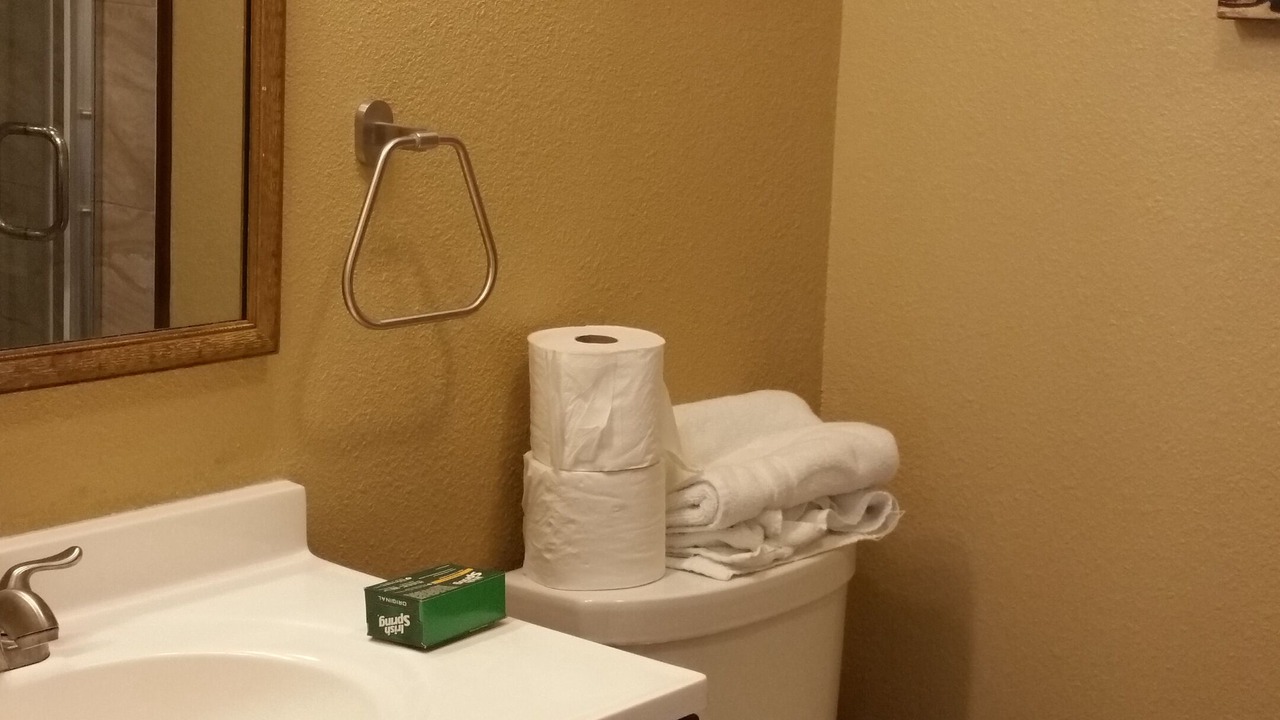 Photo of Bathroom in Edenvale