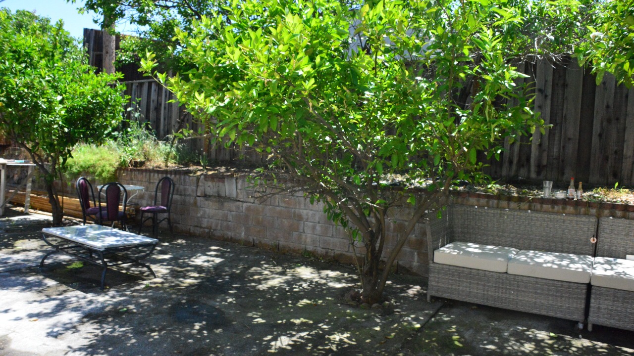 Photo of Outdoor in Edenvale