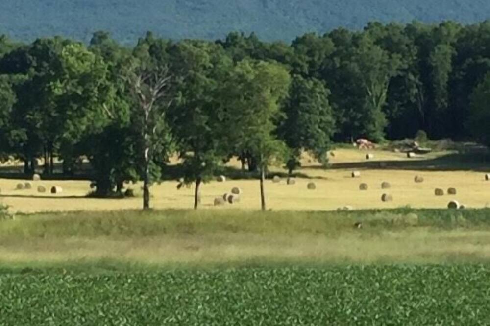 Photo of Others in Pine Bush