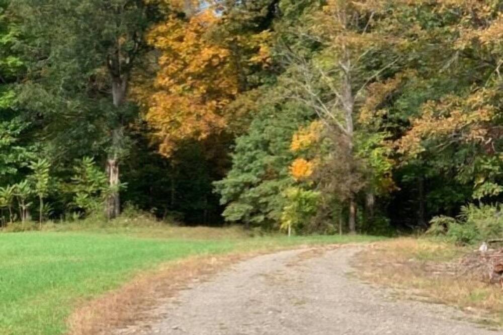 Photo of Others in Pine Bush