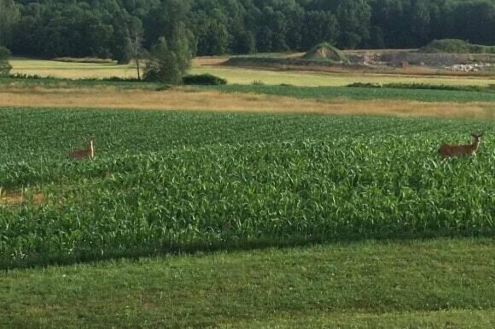 Photo of Others in Pine Bush