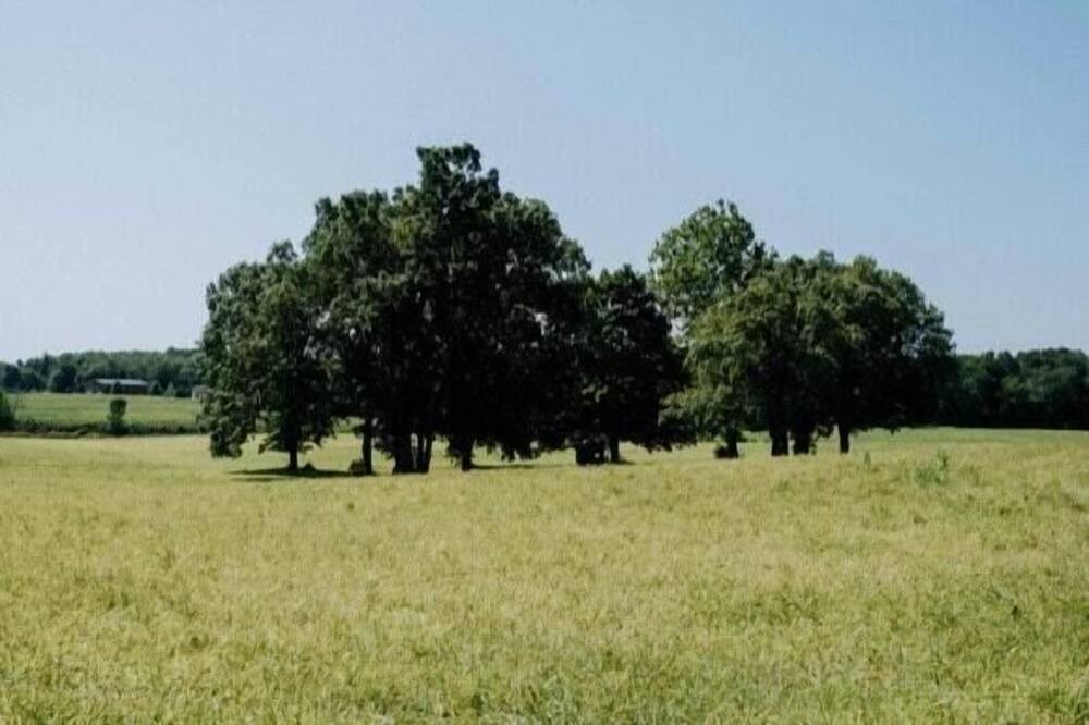 Photo of Others in Pine Bush