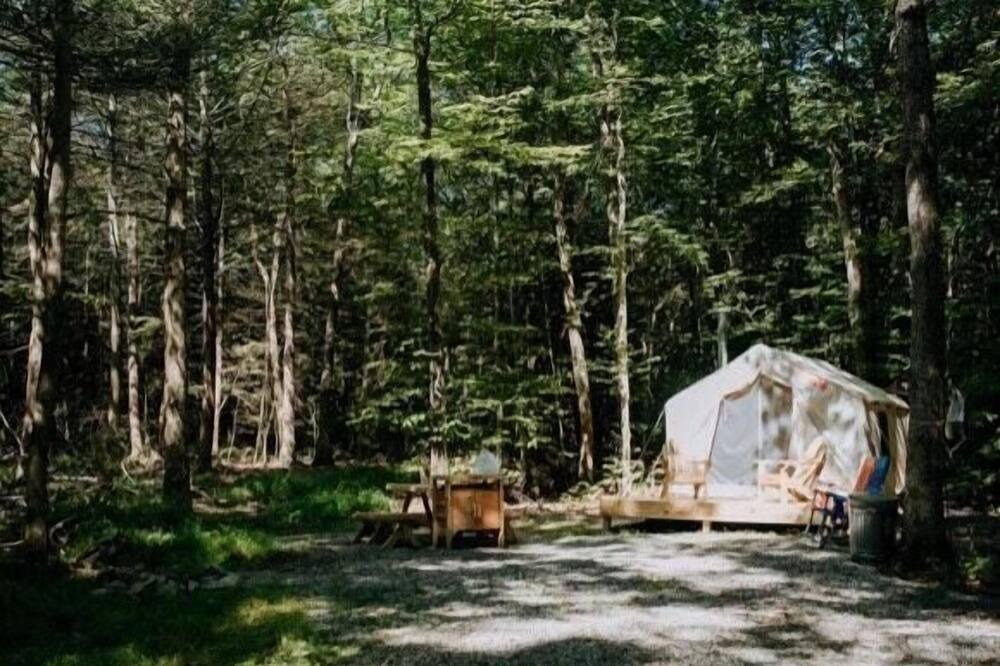 Photo of Others in Pine Bush