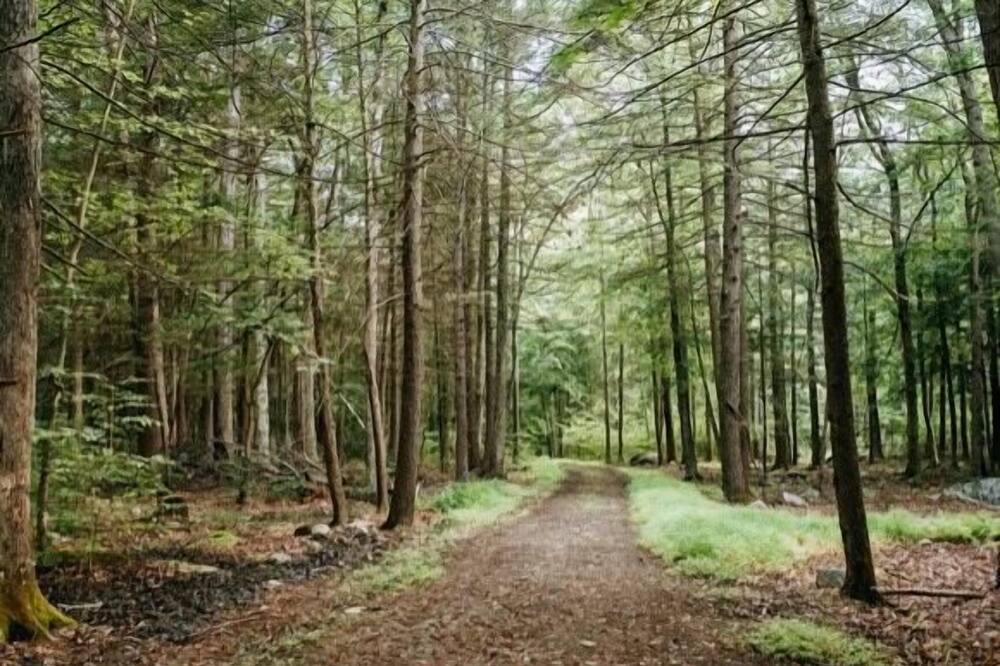 Photo of Others in Pine Bush