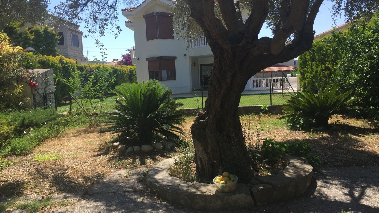 Photo of Outdoor in Tokoglu