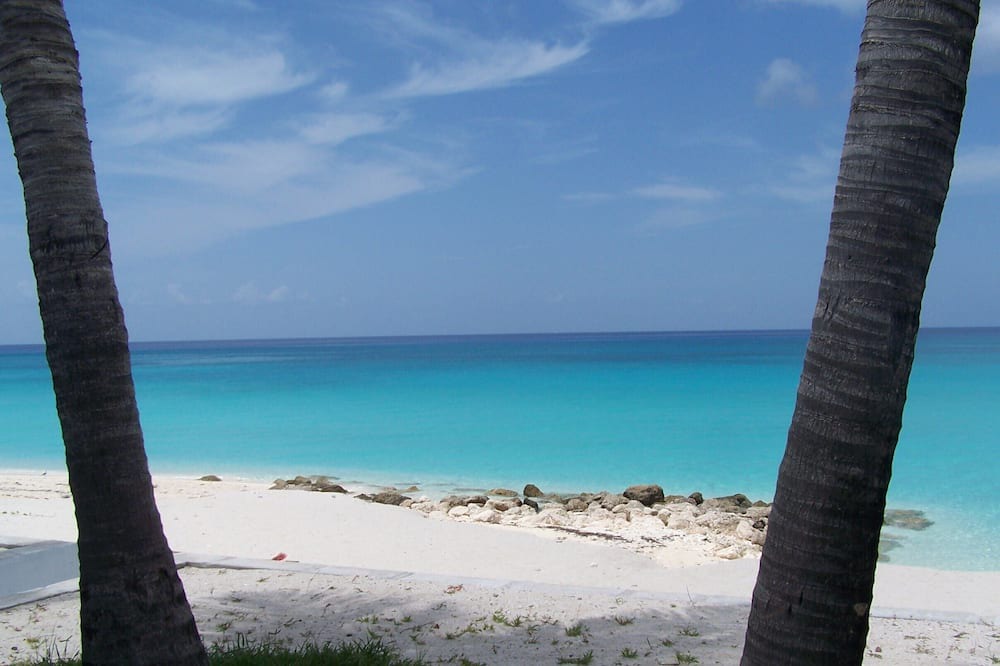 Photo of Others in North Bimini