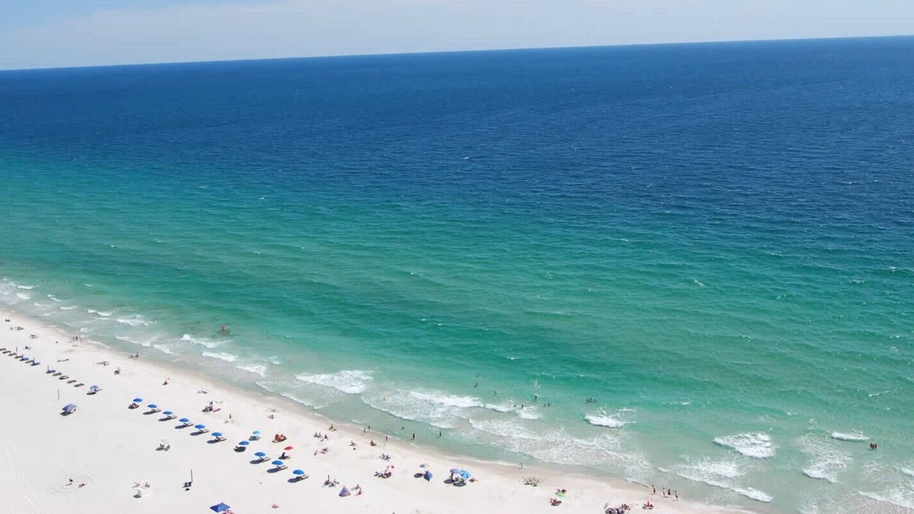 Photo of Others in Orange Beach East