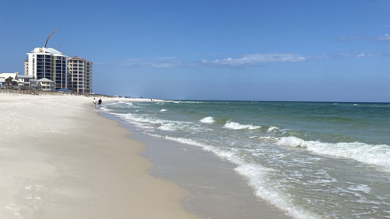 Photo of Others in Orange Beach East