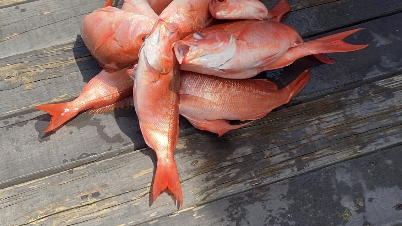 Photo of Outdoor in Orange Beach East