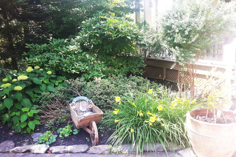 Photo of Outdoor in Lucasville