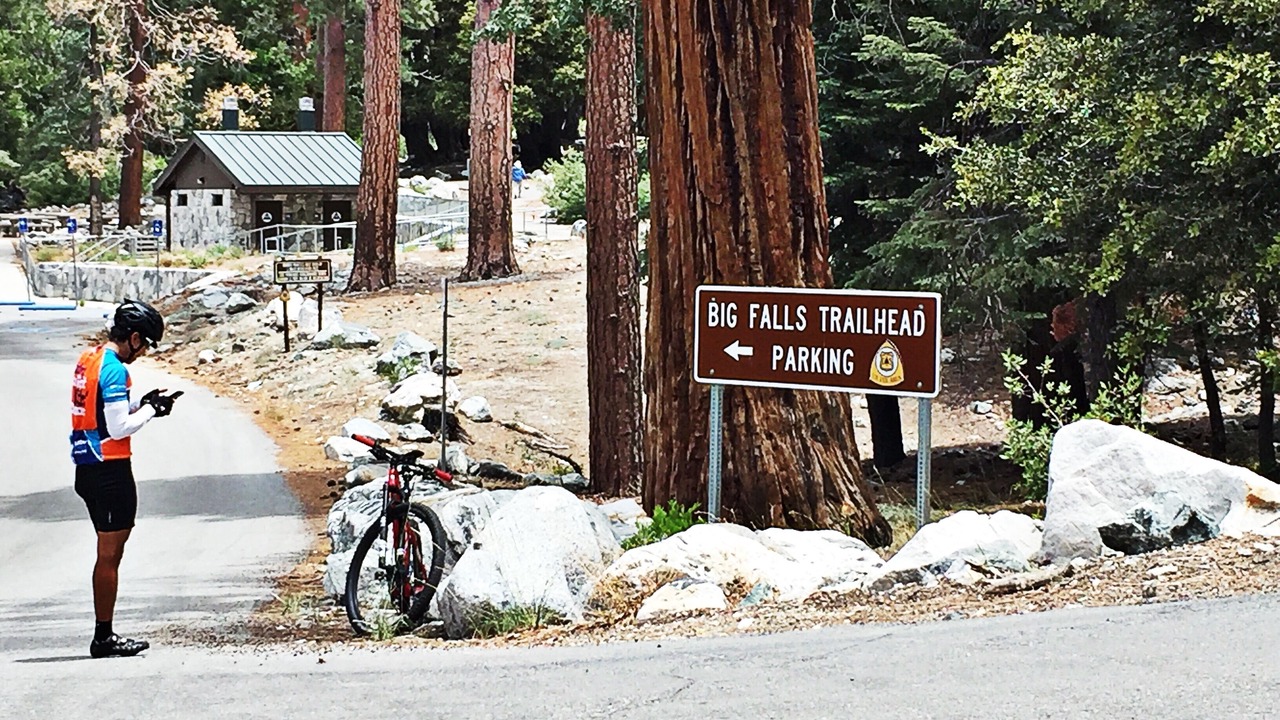 Photo of Outdoor in Forest Falls
