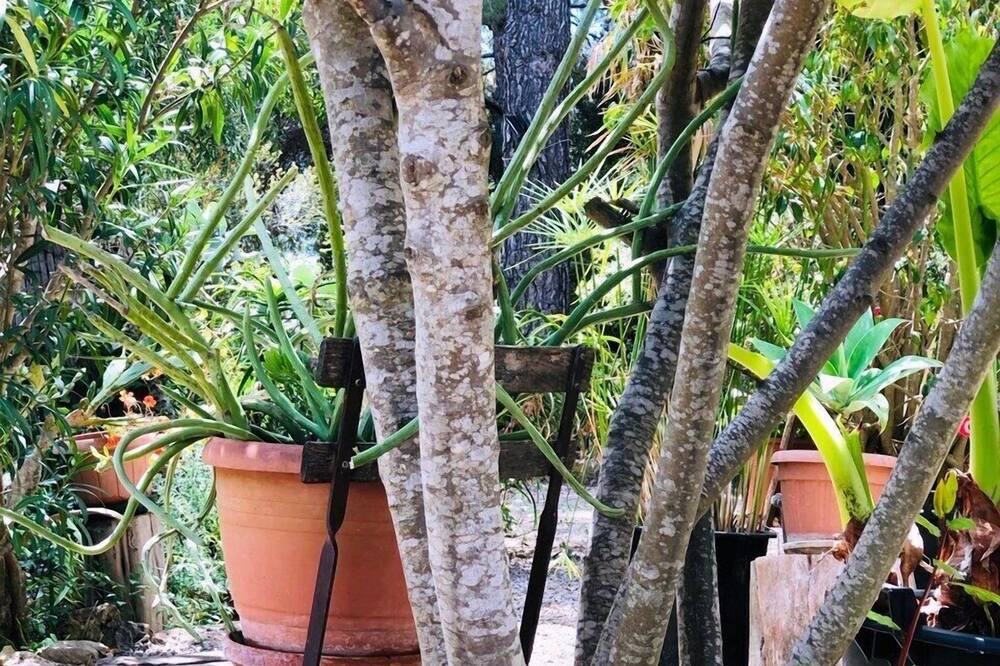 Photo of Outdoor in Santa Eulalia del Rio