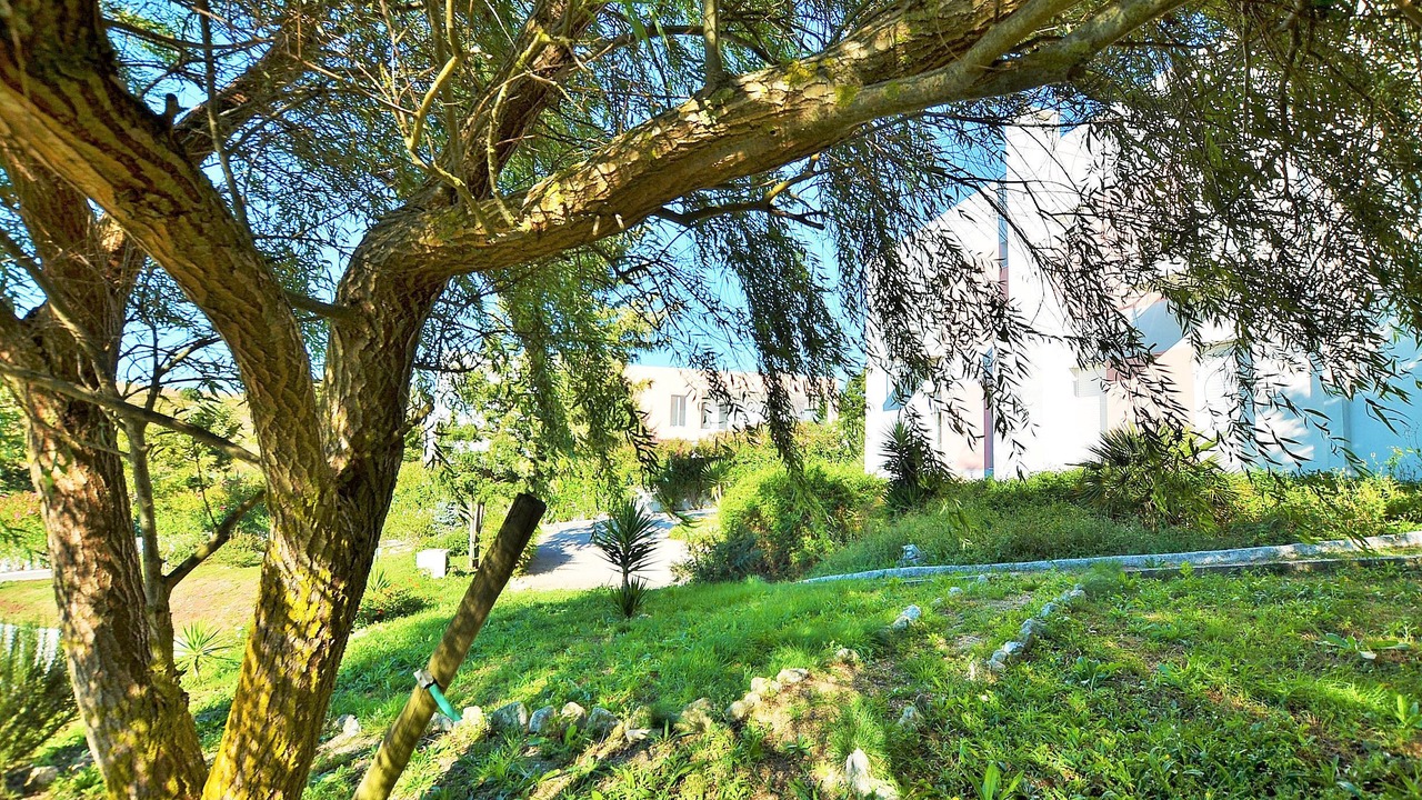 Photo of Outdoor in Barcarena
