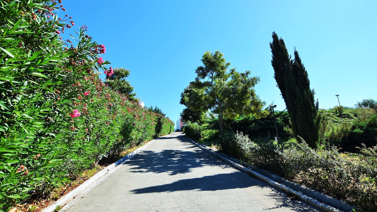 Photo of Outdoor in Barcarena