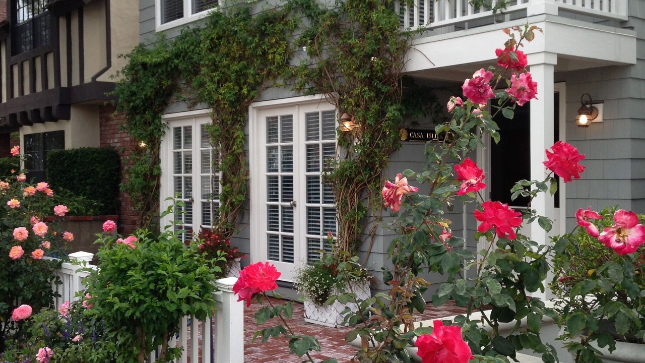 Photo of Outdoor in Newport Beach
