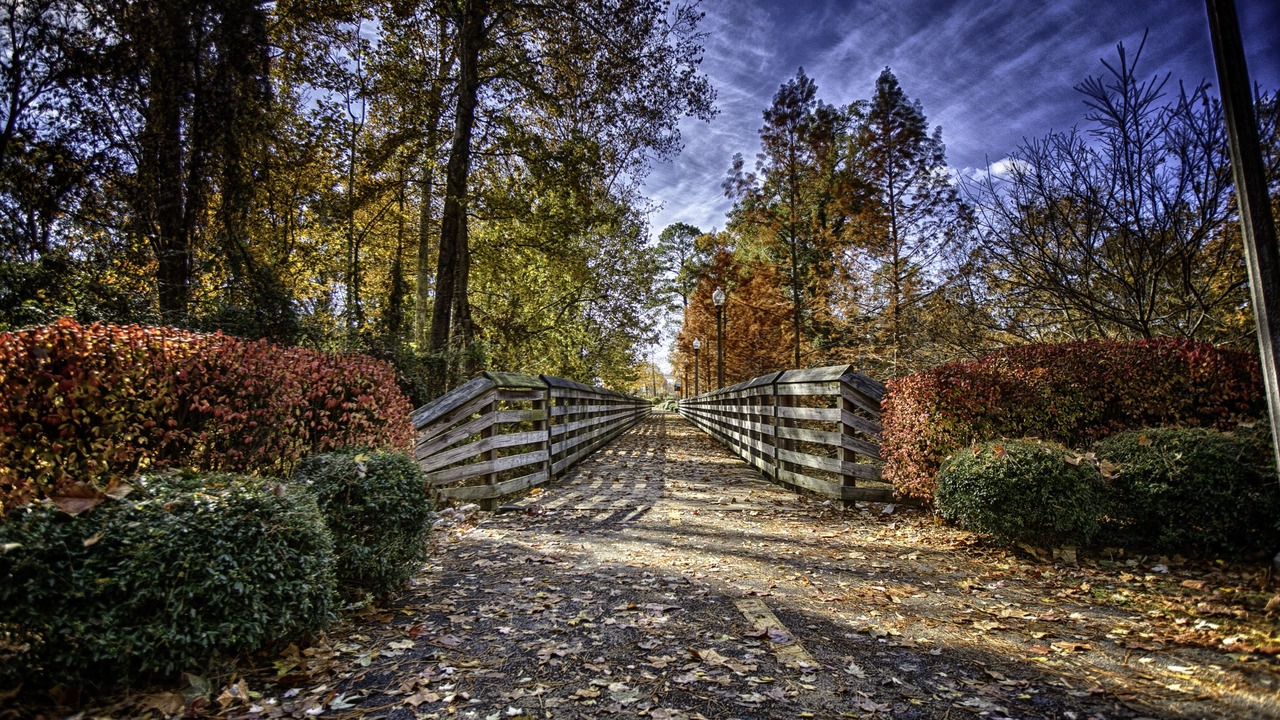 Photo of Others in Tuscaloosa
