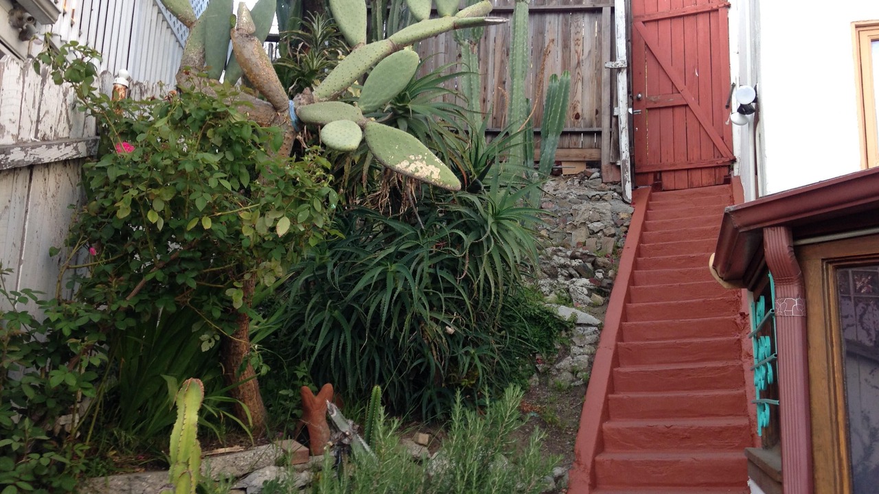 Photo of Outdoor in Hollywood Heights