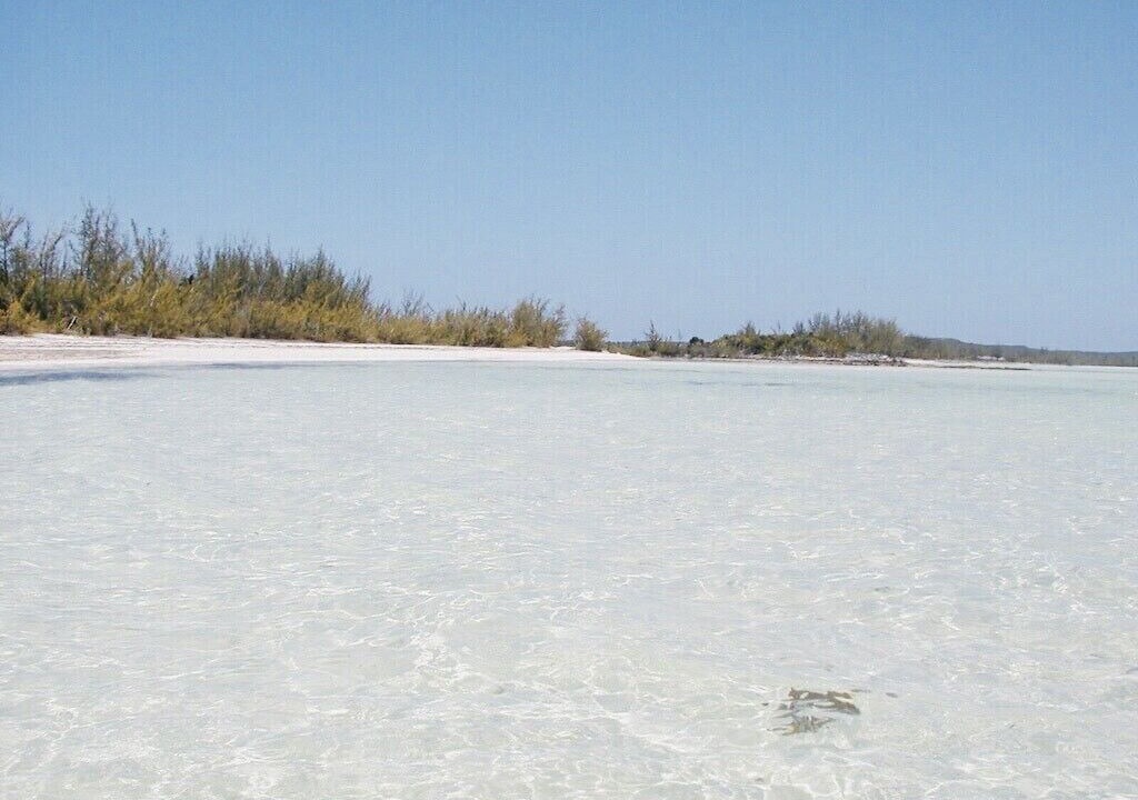Photo of Others in New Bight
