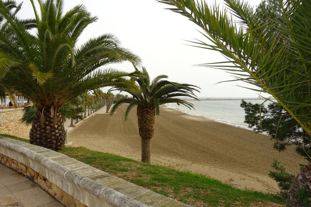 Photo of Outdoor in Sant Carles de la Rapita