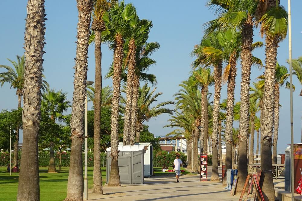 Photo of Others in Sant Carles de la Rapita