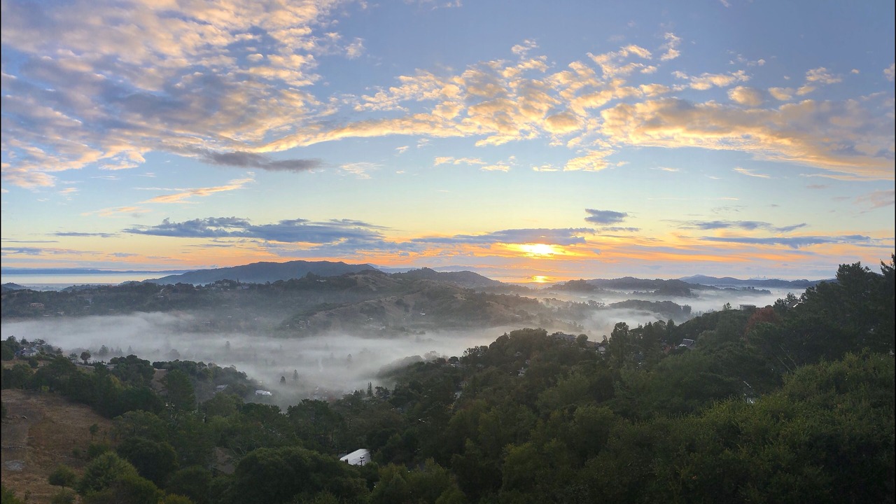 Photo of Others in San Anselmo