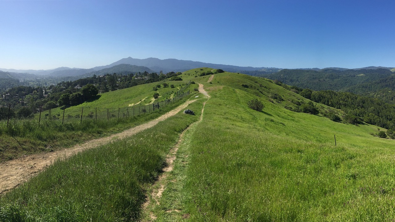 Photo of Others in San Anselmo