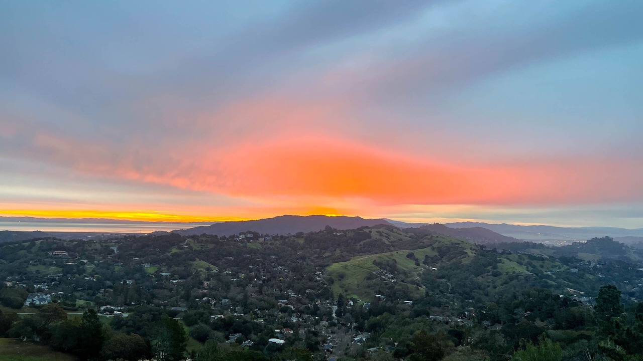 Photo of Others in San Anselmo