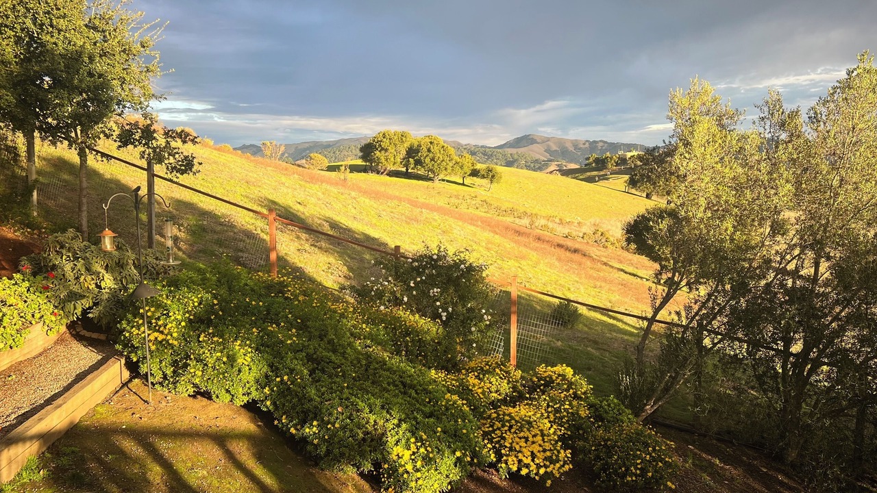 Photo of Outdoor in San Anselmo