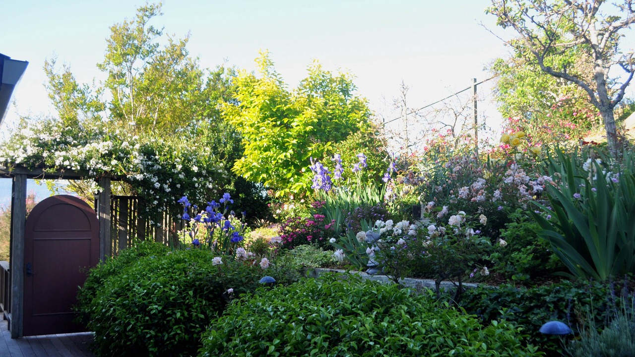 Photo of Outdoor in San Anselmo