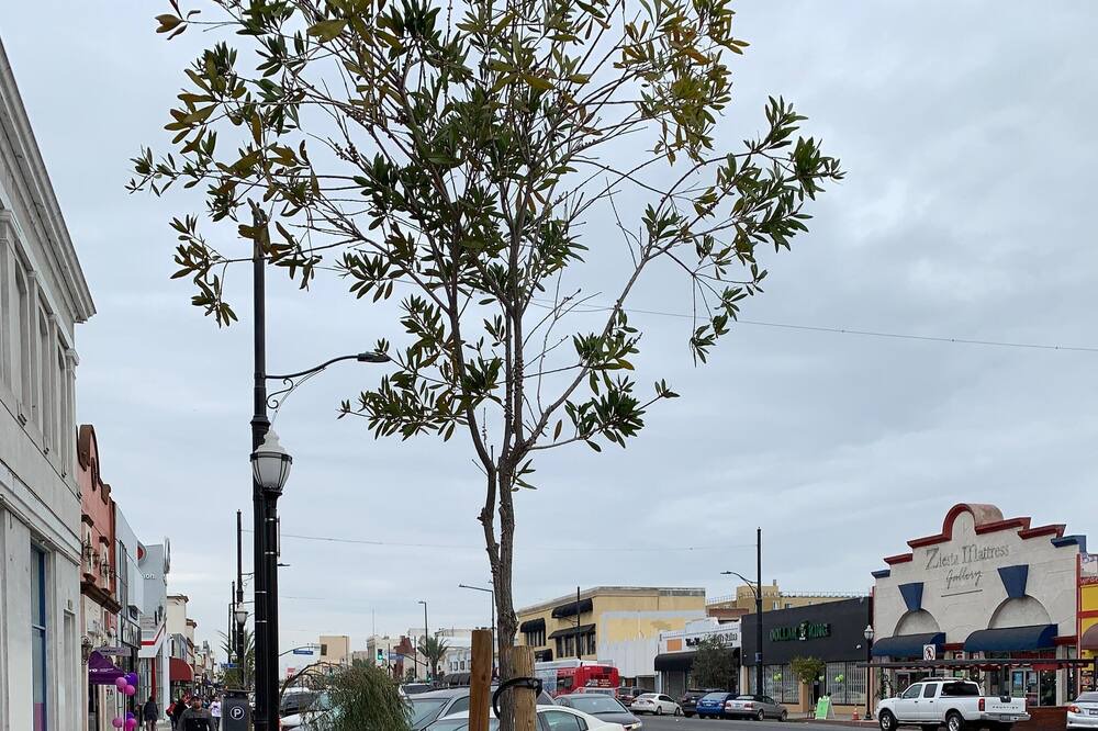 Photo of Others in Huntington Park