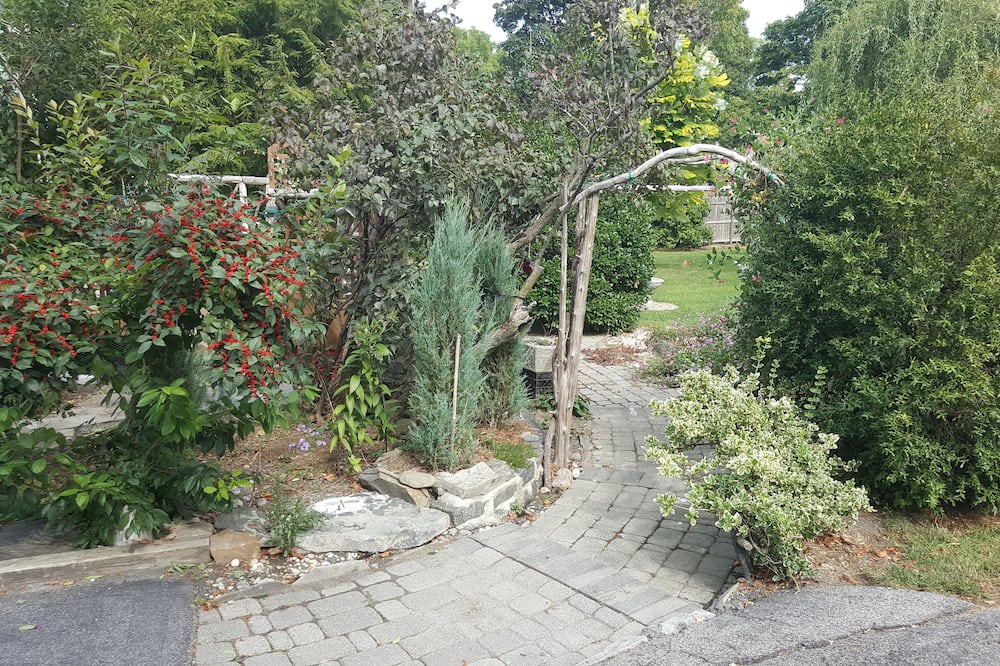 Photo of Outdoor in Firthcliffe