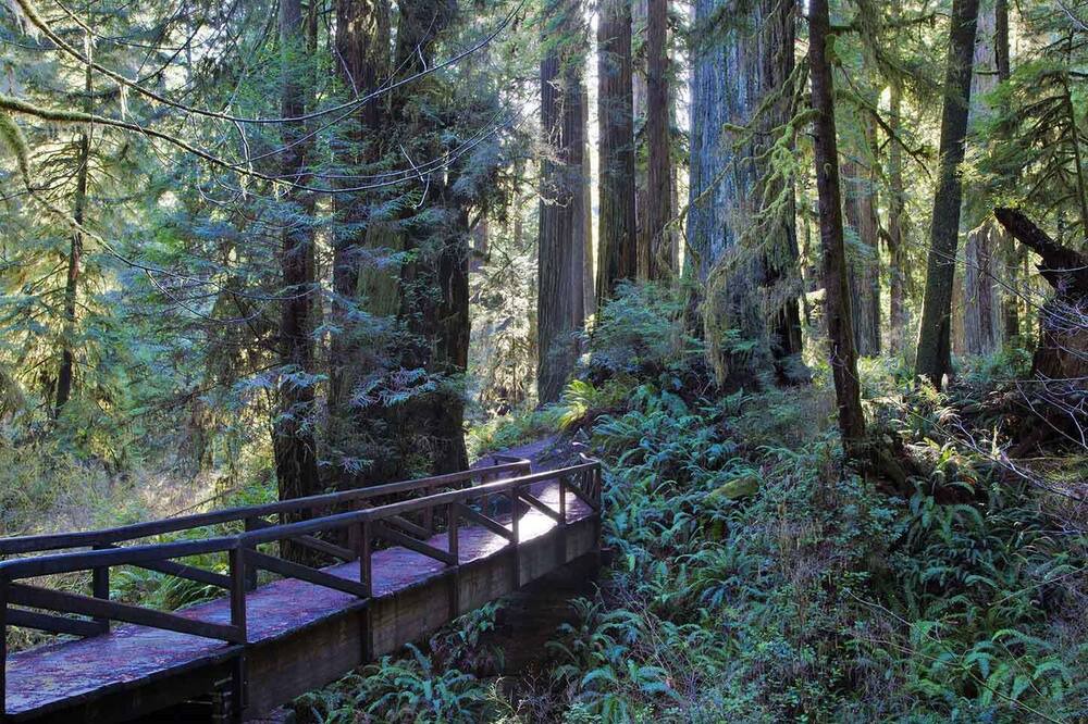 Photo of Outdoor in Little River