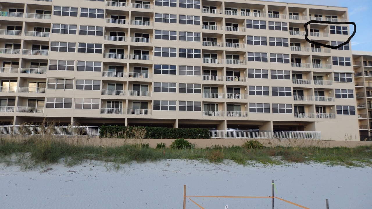 Photo of Outdoor in Ponce Inlet